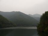 [Cliquez pour agrandir : 36 Kio] Liyang - L'océan de bambous : lac.