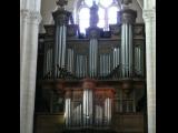 [Cliquez pour agrandir : 81 Kio] Senlis - La cathédrale : l'orgue.
