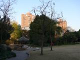 [Cliquez pour agrandir : 104 Kio] Shanghai - Caoxi Park.