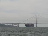 [Cliquez pour agrandir : 49 Kio] San Francisco - The Golden Gate Bridge and the container ship APL China.