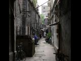 [Cliquez pour agrandir : 96 Kio] Shanghai - Scène d'une ruelle animée.