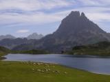 [Cliquez pour agrandir : 57 Kio] Orthez - Le pic du Midi d'Ossau : lac et vaches devant le Pic.