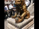 [Cliquez pour agrandir : 123 Kio] Pékin - La Cité interdite : statue de lion devant la porte de la pureté céleste.