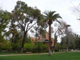 [Cliquez pour agrandir : 119 Kio] Phoenix - The Arizona State University: the campus.