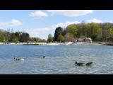 [Cliquez pour agrandir : 109 Kio] La Courneuve - Le parc Georges-Valbon : lac.