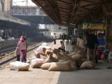 [Cliquez pour agrandir : 141 Kio] Agra - La gare d'Agra Fort : quai.