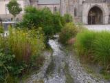 [Cliquez pour agrandir : 144 Kio] Saint-Pol-de-Léon - Jardin devant la mairie.