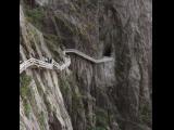 [Cliquez pour agrandir : 126 Kio] Huang Shan - Le canyon Xihai : escalier à flanc de montagne.
