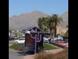 [Cliquez pour agrandir : 97 Kio] Tucson - A bus stop.