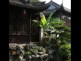[Cliquez pour agrandir : 111 Kio] Shanghai - Le jardin Yu : vue générale.