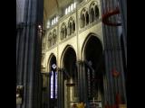 [Cliquez pour agrandir : 95 Kio] Lille - La cathédrale Notre Dame de la Treille : la nef.