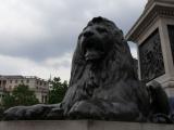 [Cliquez pour agrandir : 73 Kio] London - Trafalgar Square : a bronze lion.
