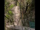 [Cliquez pour agrandir : 157 Kio] Huang Shan - Le canyon Xihai : escalier à flanc de montagne.