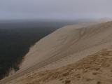[Cliquez pour agrandir : 55 Kio] La Teste-de-Buch - La dune du Pyla : côté forêt de pins.