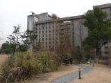 [Cliquez pour agrandir : 106 Kio] Hangzhou - Université Zhejiang : le campus de Yuquan : espace vert.