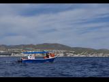 [Cliquez pour agrandir : 85 Kio] Cabo San Lucas - Bateau pour l'observation des baleines.