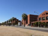 [Cliquez pour agrandir : 74 Kio] Tucson - The University of Arizona: campus.