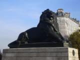 [Cliquez pour agrandir : 48 Kio] Paris - Réplique du Lion de Belfort sur la place Denfert-Rochereau.