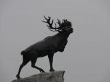 [Cliquez pour agrandir : 29 Kio] Somme - Mémorial de Beaumont-Hamel : la statue de caribou.