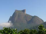 [Cliquez pour agrandir : 64 Kio] Rio de Janeiro - La forêt de Tijuca : montagne vue de la forêt.