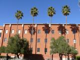 [Cliquez pour agrandir : 105 Kio] Tucson - The University of Arizona: campus.