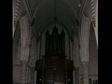 [Cliquez pour agrandir : 61 Kio] Marcq-en-Barœul - L'église Saint-Vincent : l'entrée et l'orgue.