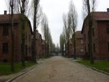 [Cliquez pour agrandir : 85 Kio] Auschwitz - Intérieur du camp de concentration.