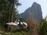 [Cliquez pour agrandir : 120 Kio] Lishui - Le parc du mont Dinghu : vue générale.