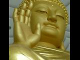 [Cliquez pour agrandir : 58 Kio] Famen - Le nouveau complexe : statue du Bouddha dans la salle de prière.
