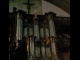 [Cliquez pour agrandir : 134 Kio] Saint-Jean-de-Luz - L'église Saint-Jean-Baptiste : l'orgue.