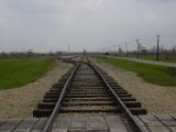 [Cliquez pour agrandir : 64 Kio] Birkenau - Intérieur du camp de concentration.