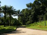 [Cliquez pour agrandir : 129 Kio] Rio de Janeiro - Le jardin botanique : allée.