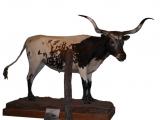 [Cliquez pour agrandir : 69 Kio] San Antonio - The Institute of Texan cultures: a longhorn.
