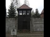 [Cliquez pour agrandir : 90 Kio] Auschwitz - Intérieur du camp de concentration.
