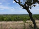 [Cliquez pour agrandir : 106 Kio] Texas - Typical landscape.