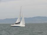 [Cliquez pour agrandir : 48 Kio] San Francisco - The Bay: boat.