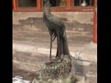 [Cliquez pour agrandir : 100 Kio] Pékin - La Cité interdite : statue de phénix devant la salle de l'harmonie manifeste.