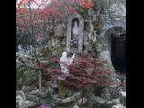 [Cliquez pour agrandir : 151 Kio] Suzhou - La cathédrale : la Vierge de Lourdes.