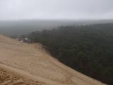 [Cliquez pour agrandir : 54 Kio] La Teste-de-Buch - La dune du Pyla : côté forêt de pins.