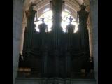 [Cliquez pour agrandir : 73 Kio] Troyes - La cathédrale Saint-Pierre-et-Saint-Paul : l'orgue.