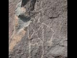 [Cliquez pour agrandir : 165 Kio] Albuquerque - Petroglyph National Monument: petroglyph.