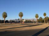 [Cliquez pour agrandir : 65 Kio] Tucson - The University of Arizona: campus.