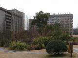 [Cliquez pour agrandir : 94 Kio] Hangzhou - Université Zhejiang : le campus de Yuquan : espace vert.