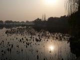 [Cliquez pour agrandir : 80 Kio] Hangzhou - Le lac Ouest : vue générale.