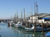 [Cliquez pour agrandir : 92 Kio] San Francisco - The port: fishing boats.
