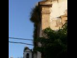 [Cliquez pour agrandir : 69 Kio] Rio de Janeiro - L'église São Francisco da Prainha : plantes poussant sur l'édifice.