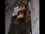 [Cliquez pour agrandir : 80 Kio] Cologne - La cathédrale : l'orgue.