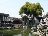[Cliquez pour agrandir : 117 Kio] Suzhou - Le jardin du bosquet du lion : bassin entouré de pavillons et de rochers.