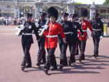 [Cliquez pour agrandir : 121 Kio] London - Buckingham Palace: the changing of the guard.