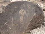 [Cliquez pour agrandir : 149 Kio] Albuquerque - Petroglyph National Monument: petroglyph.